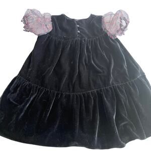 Zara Floral Organza Sleeved Velvet Dress size 3/4